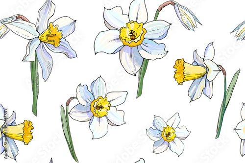 White daffodil seamless floral pattern. Hand drawn narcissus endless background. Spring easter backdrop. For greeting cards, invitations, decorations, floral prints, floristic design, wallpaper.