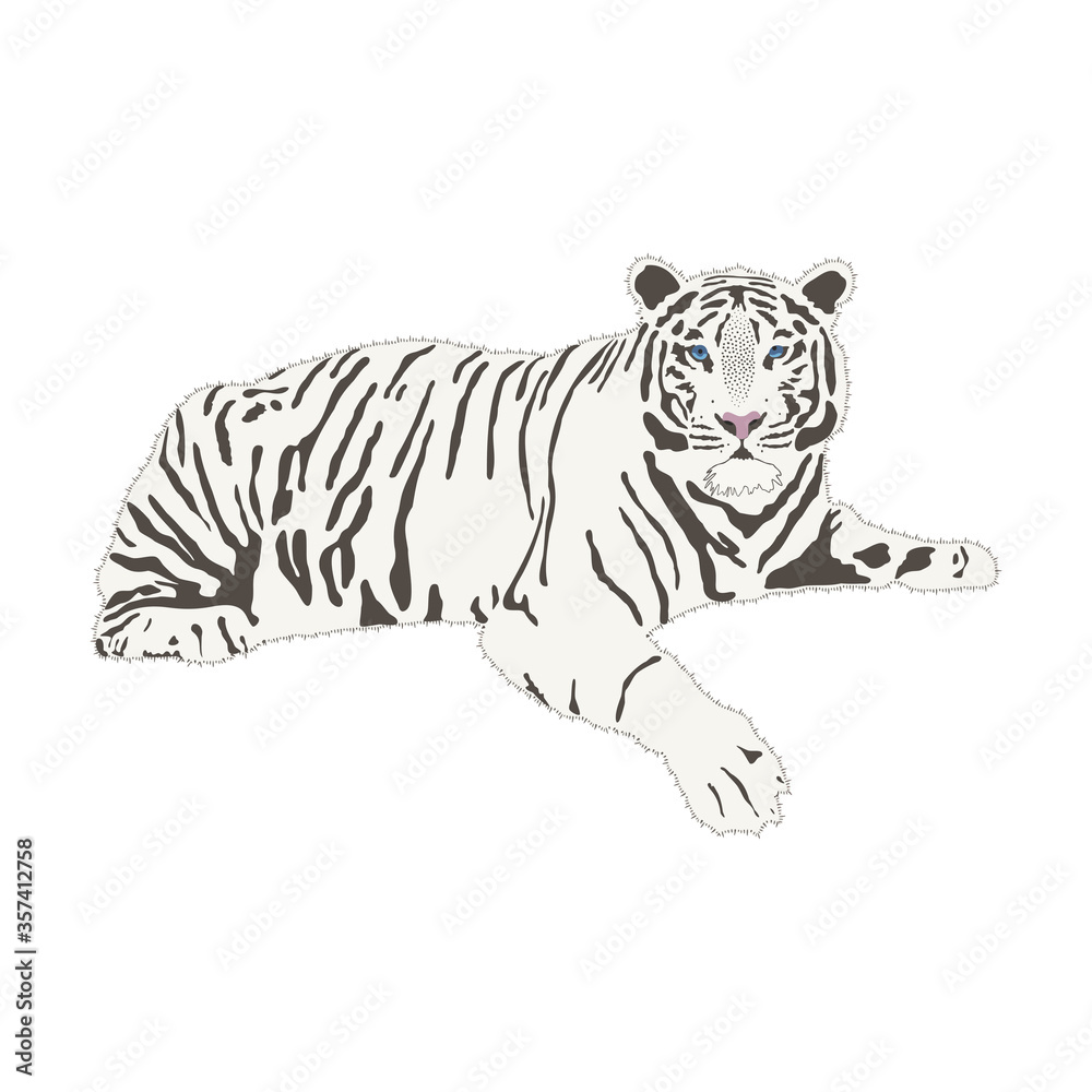 Naklejka premium White Bengali tiger full body isolate on white background, vector illustration in flat style. A calm tiger is resting. Can be used for print, promotional materials, web and app.