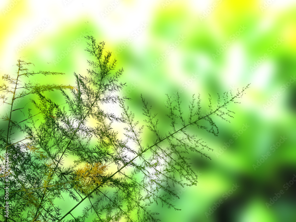 Green leaf background. Beautiful and fresh background. Green plant on blur background. Green leaf background. Beautiful and fresh background. Green plant on blur background.