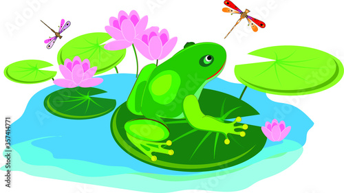 A cute frog sits on a lotus leaf surrounded by pink flowers and watches dragonflies.