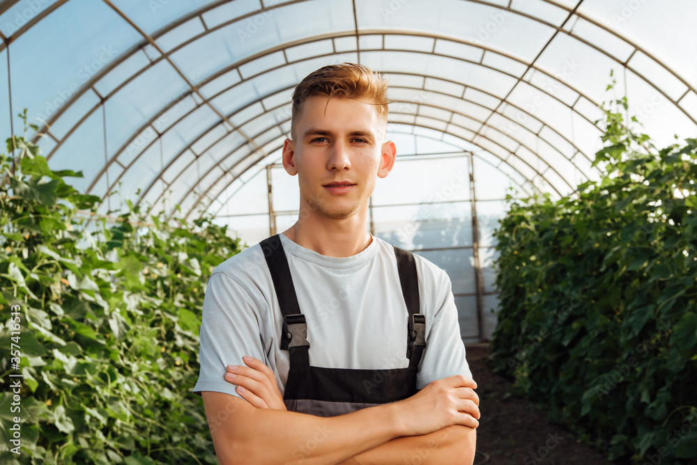 Obraz premium Portrait of a young male farmer in overalls in a greenhouse
