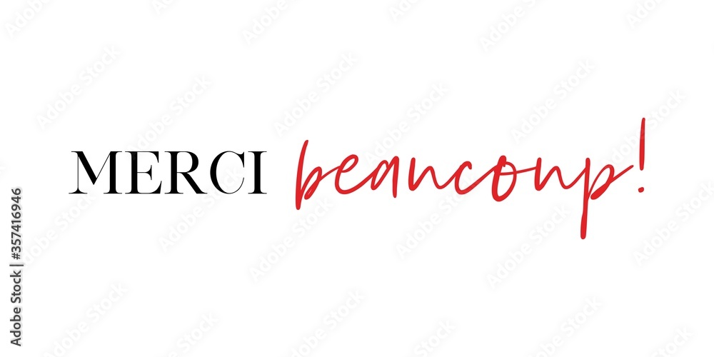 Merci Beaucoup! Thank you very much in French vector quote