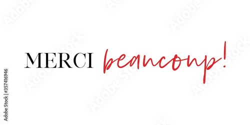 Merci Beaucoup! Thank you very much in French vector quote