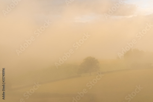 Dawn in the campaign in Burgundy, with mist on the fields 
