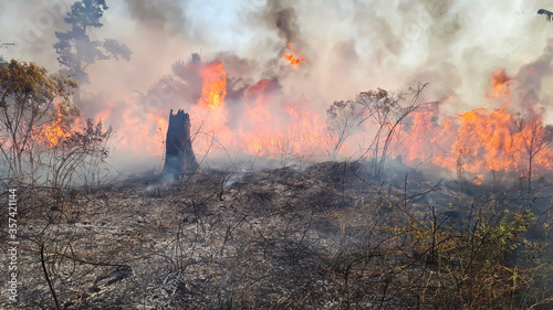Fire in the forest of Africa