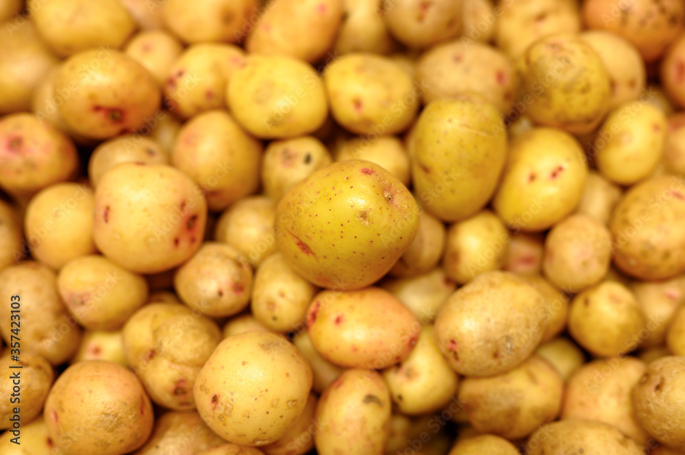 a pile of vegetables washed yellow potatoes as background a pile of vegetables washed yellow potatoes as background