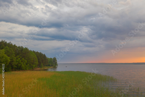 rivers and lakes in the forest.