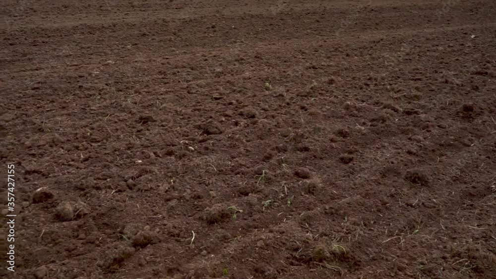 sowing of agricultural crops in the field, land, Chernozem, crop sowing of agricultural crops in the field, land, Chernozem, crop