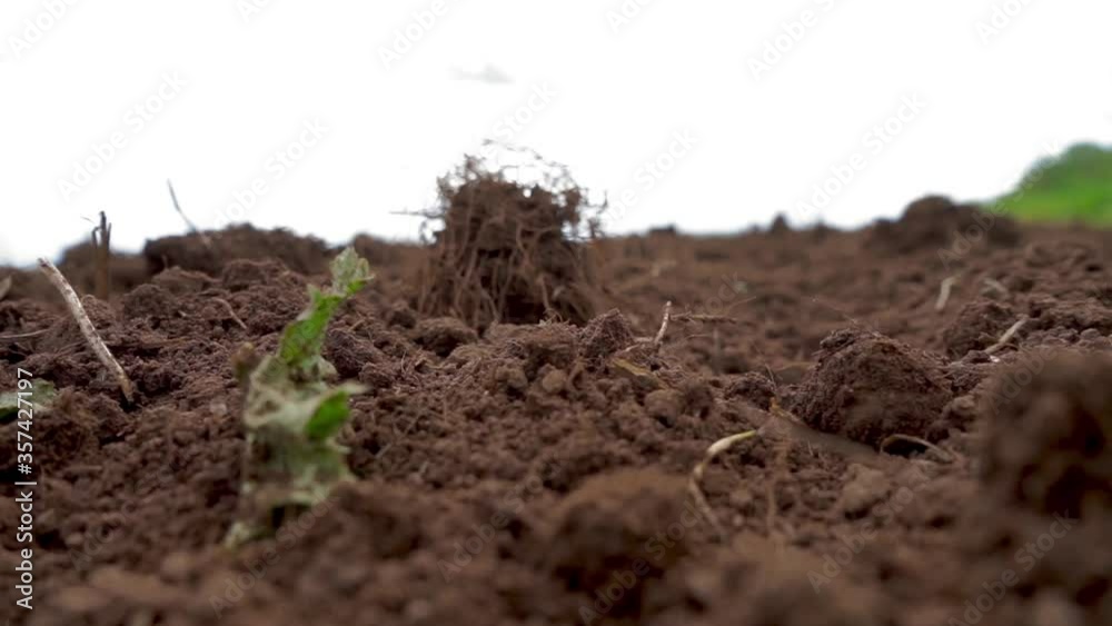 sowing of agricultural crops in the field, land, Chernozem, crop sowing of agricultural crops in the field, land, Chernozem, crop