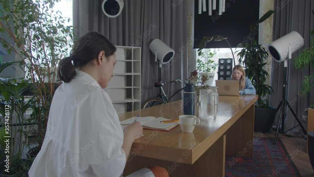 Two girls sit at long table opposite sides, workspace in restaurant, observe a social distance, work on laptop, brunette girl studies Two girls sit at long table opposite sides, workspace in restaurant, observe a social distance, work on laptop, brunette girl studies