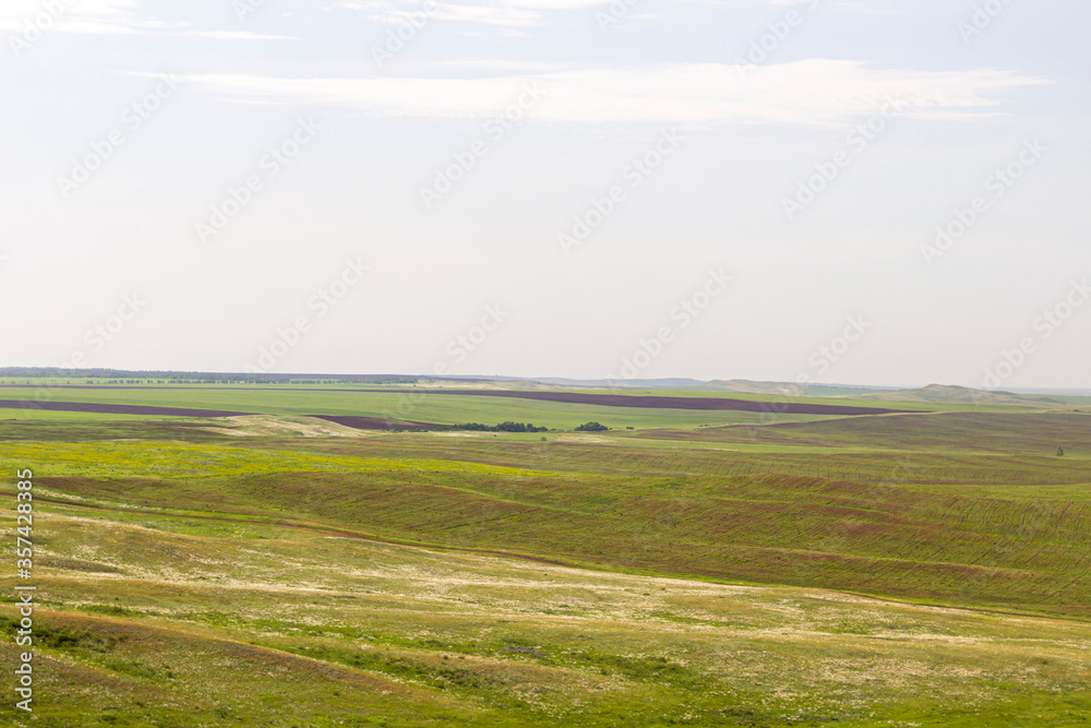 Obraz premium twilight in the steppe open look at the day light