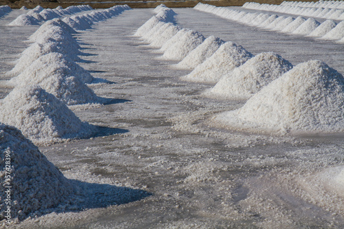 Salt piles in salt farm waiting for transportation