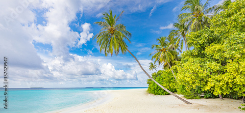 Fototapeta Naklejka Na Ścianę i Meble -  Beautiful beach with palm trees and moody sky. Summer vacation travel holiday background concept. Maldives paradise beach. Luxury travel summer holiday background concept. Exotic travel destinations