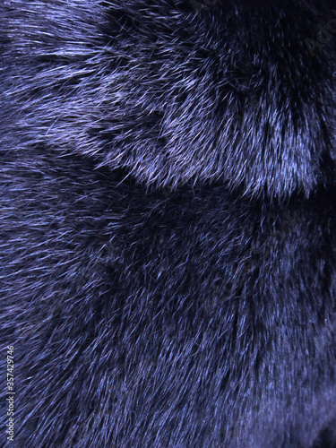 Bluish mink fur for backgrounds and textures. Black mink fur coarse shot.