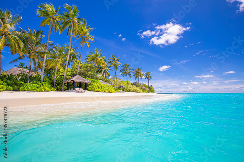 Fototapeta Naklejka Na Ścianę i Meble -  Amazing summer beach landscape. Exotic island coastline with palm trees and white sand close to amazing blue sea and lagoon. Tropical nature paradise beach scenery, fantastic vacation or holiday view