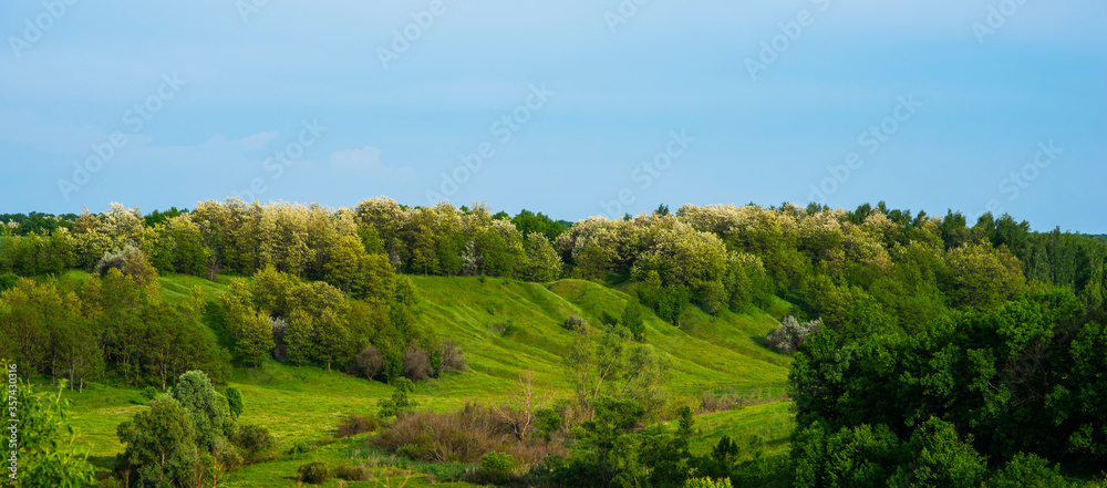 Beautiful rural landscape. Hills and grass. Natural outdoor travel background. Beauty world.