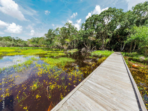 Braodwalk across wetlands in The William S Boylston Nature Trail in Myakka River State Park in Sarasota Florida in the United States
