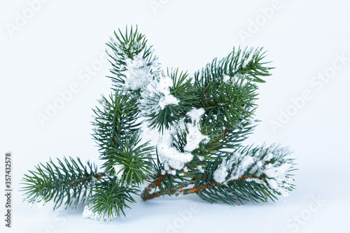 Pine tree branches with fake snow on top