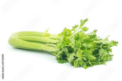 fresh Celery sticks, celery stalk isolated on white background