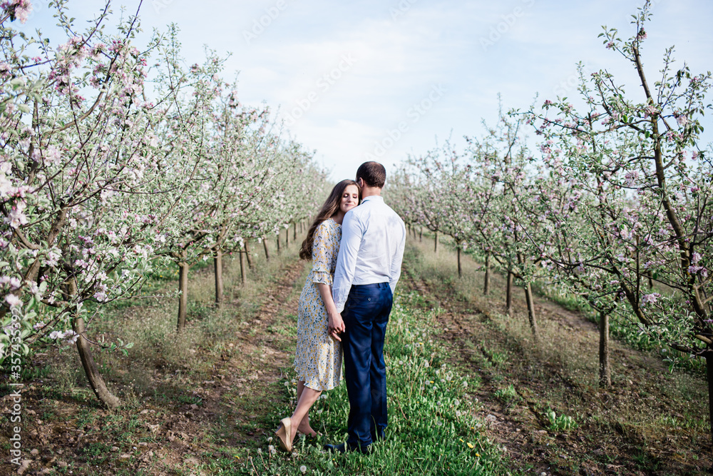 Fototapeta premium lovely loving couple walking in a freshly blooming apple orchard, spending time together outdoors