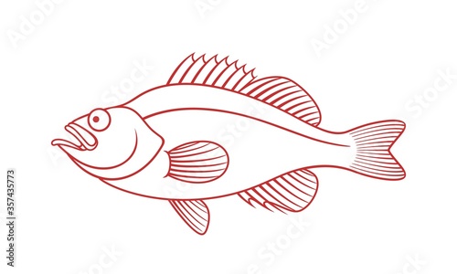 Ocean Perch outline. Isolated ocean perch on white background