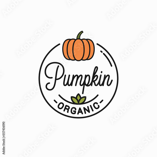 Pumpkin vegetable logo. Round linear on background