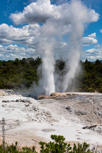 Geyser in Rotorua, New Zealand