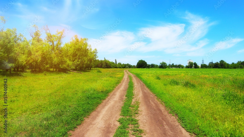 Road trail in nature on a sunny day, summer landscape, conceptual