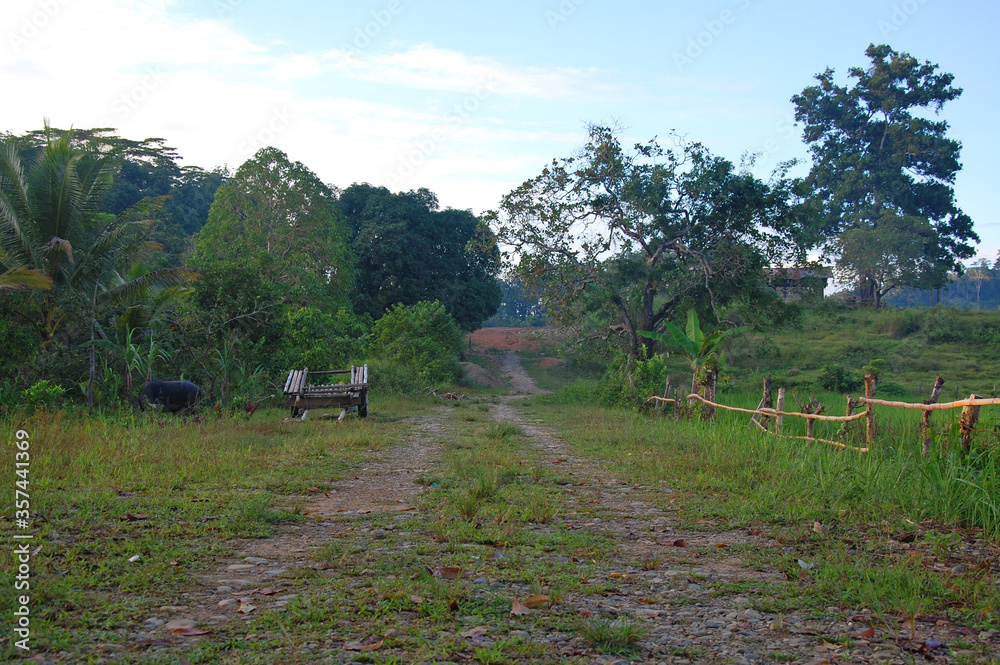 Road pathway at Ugong in Puerto Princesa, Palawan, Philippines