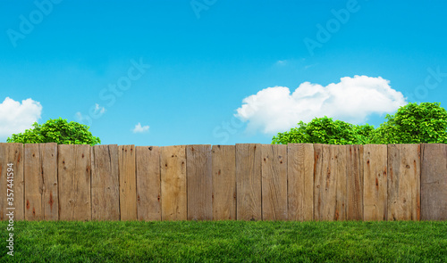 tree in garden and wooden backyard fence with grass