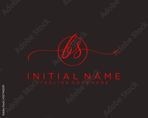 Initial B S handwriting logo vector. Hand lettering for designs