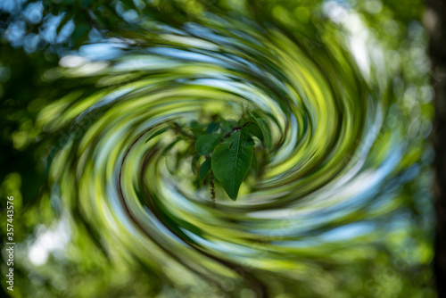 abstract green background with leaves in center