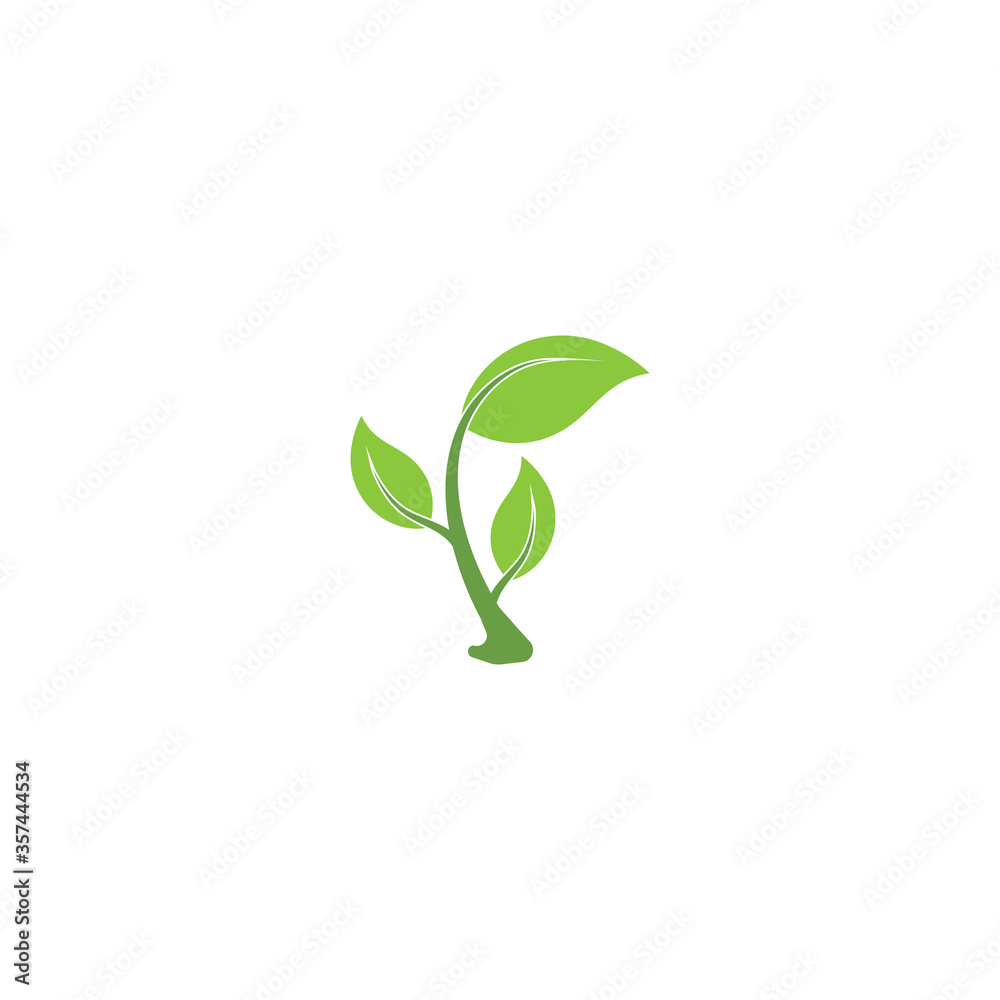 Leaf Logo Template vector symbol Leaf Logo Template vector symbol