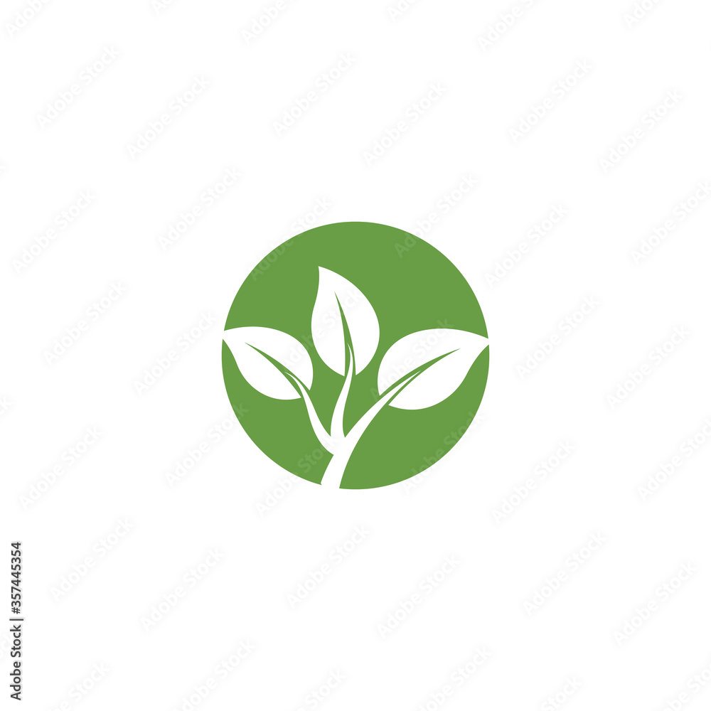 Leaf Logo Template vector symbol Leaf Logo Template vector symbol