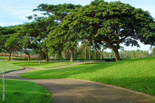 Fototapeta Naklejka Na Ścianę i Meble -  Golf course pathway at Mount Malarayat in Lipa, Batangas, Philippines.