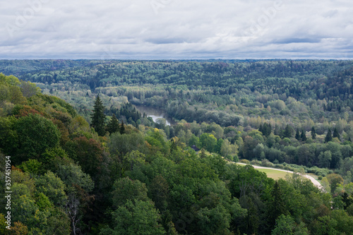 Bird's eye view of mighty forest on rainy day and river. Europian mixed wood