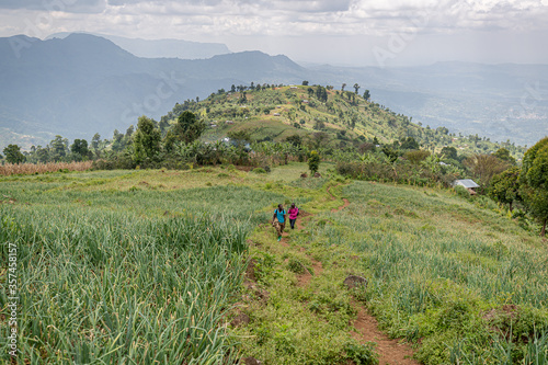 Mount Elgon National Park, Uganda. A biodiverse area of protected wildlife used by tourists, and protected by rangers.