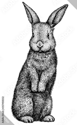 black and white engrave isolated rabbit vector illustration