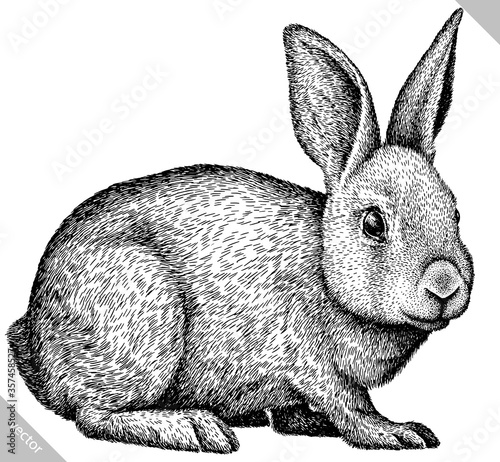 black and white engrave isolated rabbit vector illustration