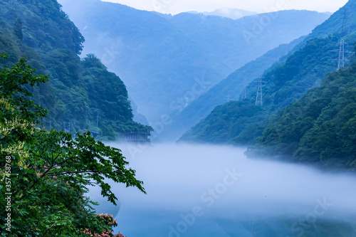 朝霧の川