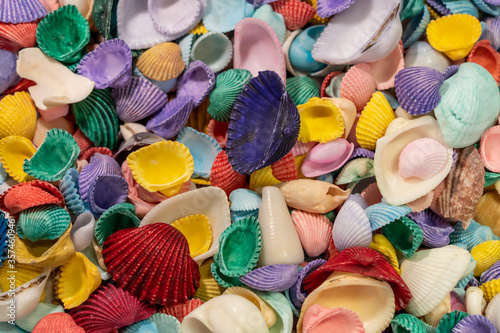 A collection of multi colored seashells, Canon Beach, Oregon © Bob
