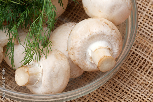 Fresh white champignons. Mushrooms for cooking delicious dish.