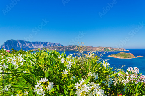 Cuadro en lienzo Sea view in Capo Coda Cavallo (Olbia, Sardinia, Italy).