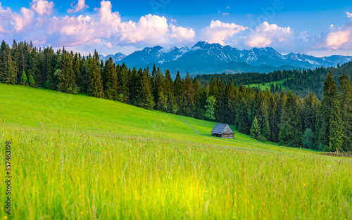 Fototapeta Naklejka Na Ścianę i Meble -  Góry Tatry