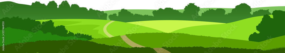 Fields, meadows and pastures. Rural landscape. Road through the hills. Graceful young trees. Isolated vector on a white background.View of the plain.