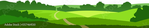 Fields  meadows and pastures. Rural landscape. Road through the hills. Graceful young trees. Isolated vector on a white background.View of the plain.