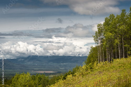 Boreal Forests of the Bulkley Valley in Canada's North photo