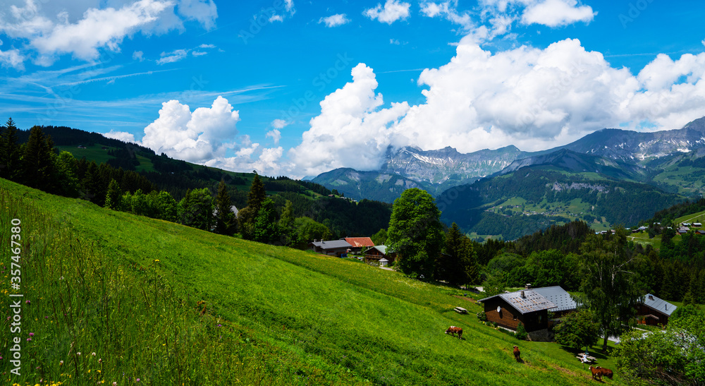 Panoramic view of idyllic summer landscape with mountains and fresh green pastures. Alps in sunny days beautiful view bavarian Alps and Austrian Alps hiking routes, between Germany and Austria.