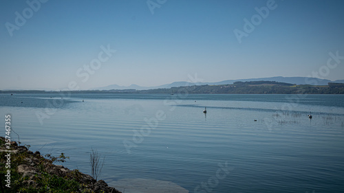 Am Murtensee photo