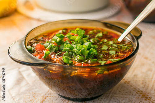 Tomato soup with vegetables and green onions.